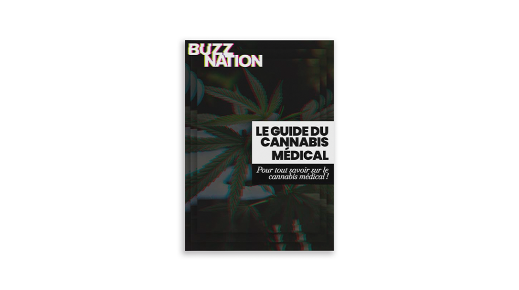BuzzNation: Le guides du cannabis medical, printed brochure.